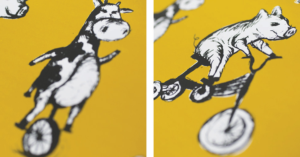 Illustration of Cow riding Unicycle and Pig riding tricycle for Tour de BBQ 2017