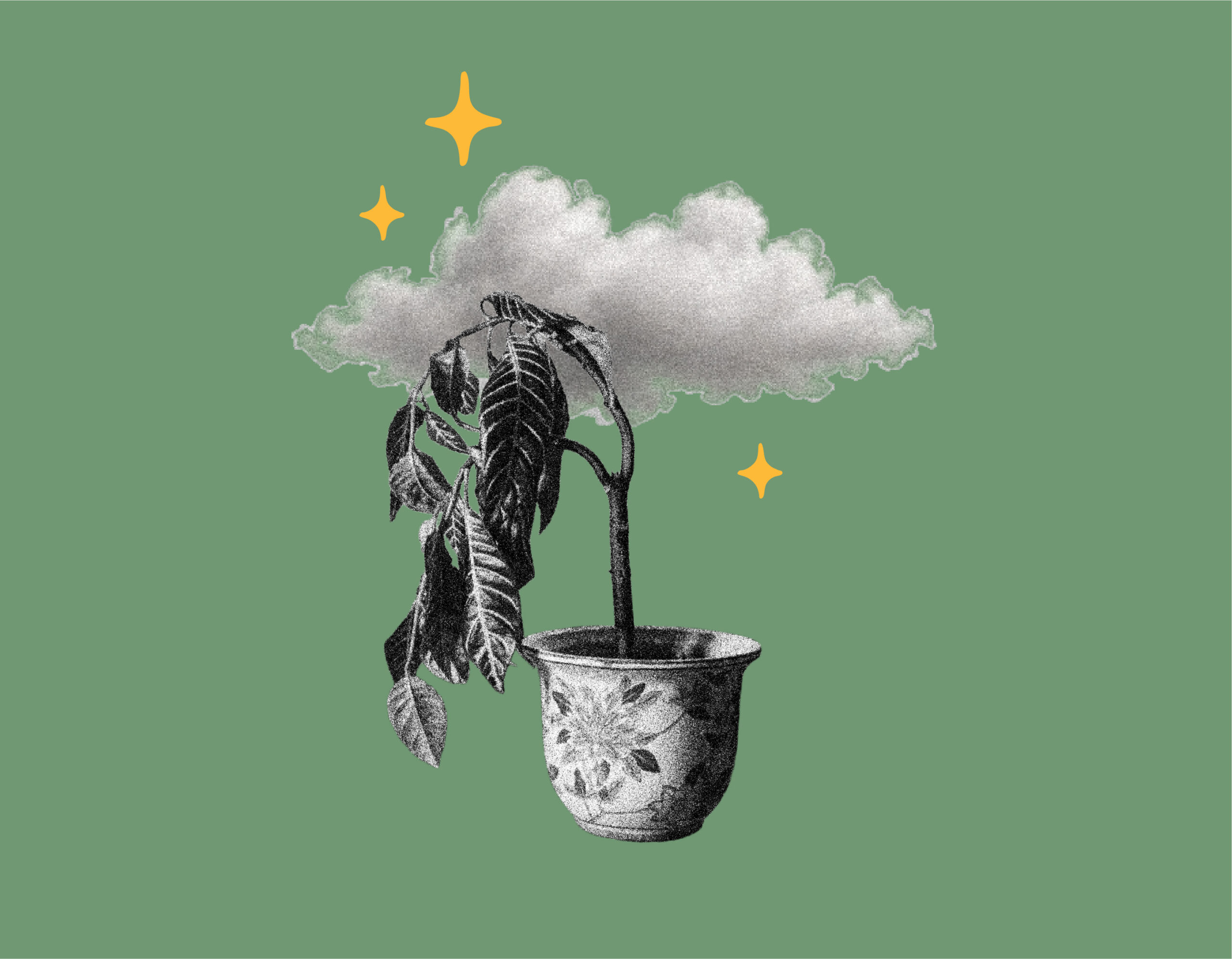 Are AI Overviews Hurting Organic Search? 