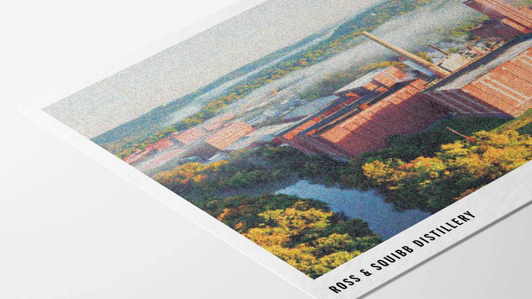 Ross & Squibb risograph postcard closeup